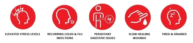 infographic showing the signs of a compromised immune system