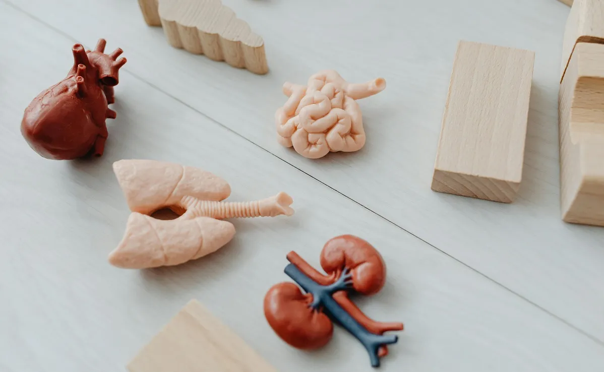 Chronic kidney disease