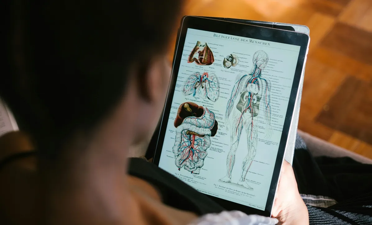 Heart, kidneys, pancreas: connected in sickness and health